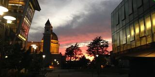 USF campus at Sunset