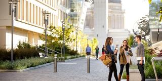 Students interacting in the quad