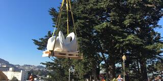 Sculpture moving at USF