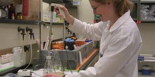 Allison Luengen works in lab