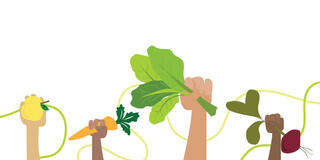 Illustration of hands holding fresh vegetables