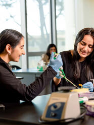 USF students working in a lab