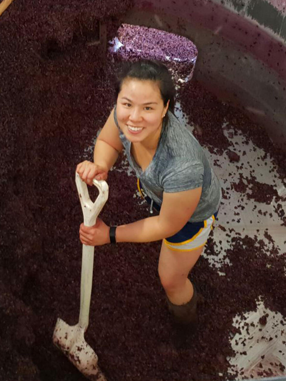 Worker with a shovel inside a vat, shoveling grapes