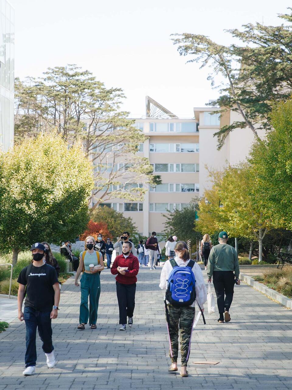 Students walk down a wide pathway through campus.