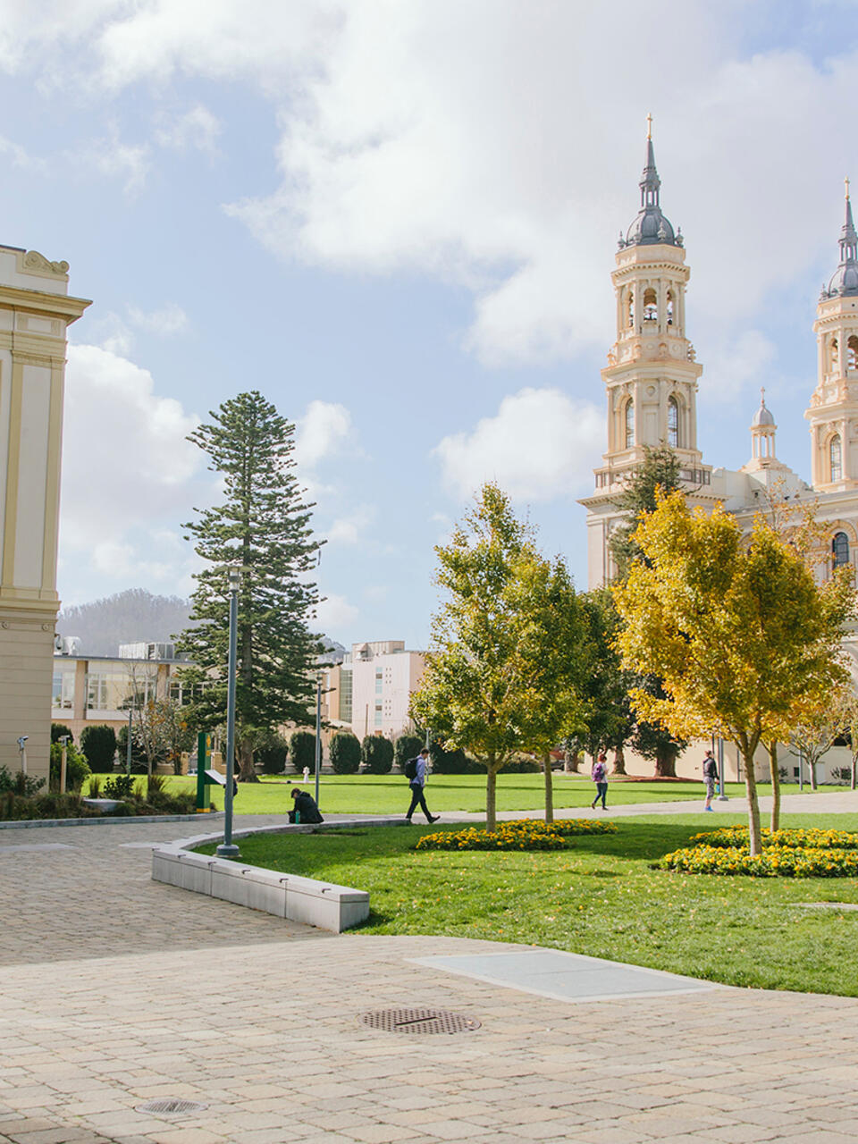 USF Campus