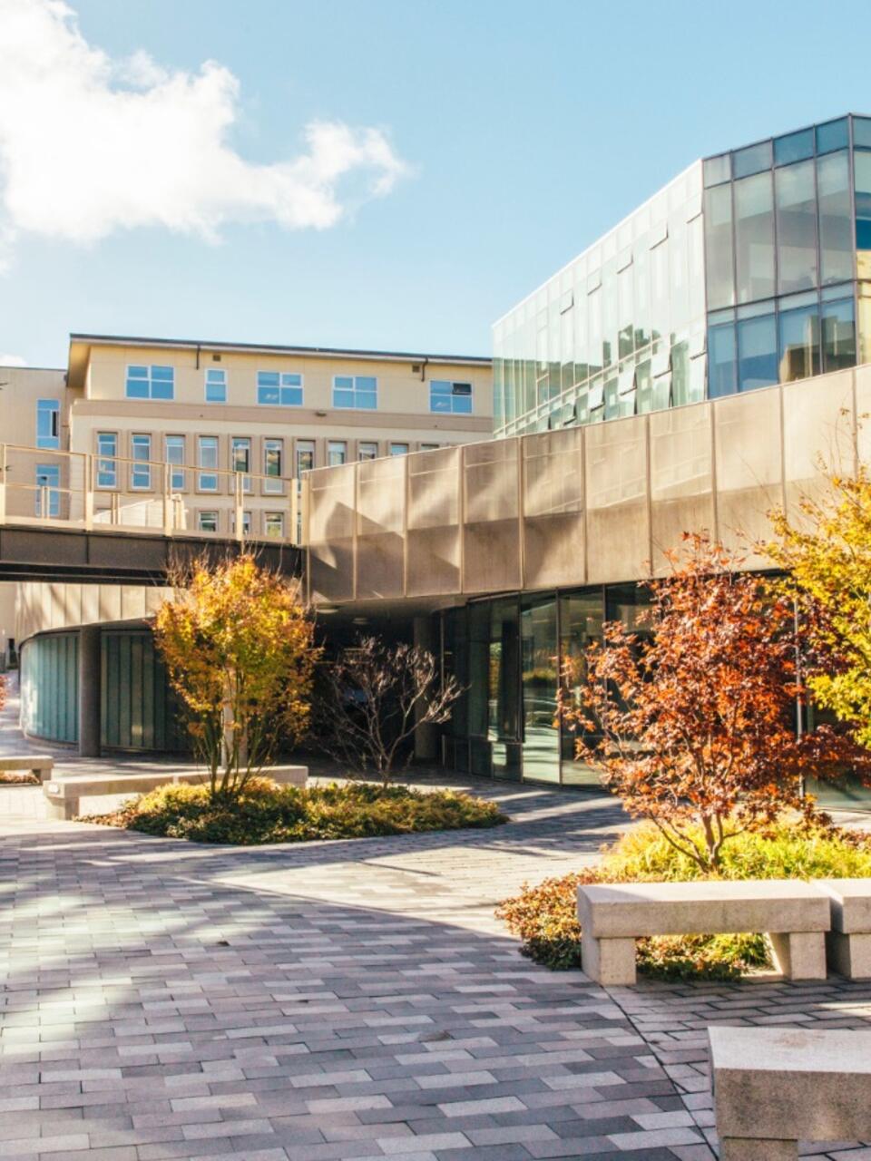 Campus near Lo Schiavo Science Center